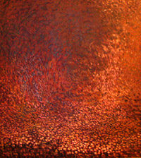 Field of Red Flowers by Zargar Zahoor