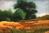 Three Trees by Vimal Chand
